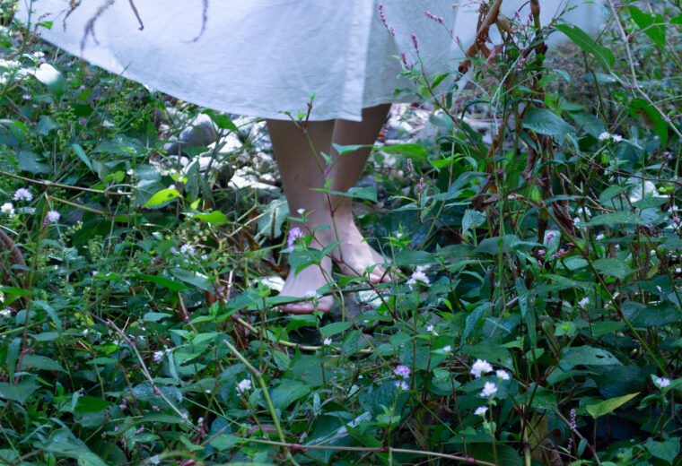 タイトルが入ります。タイトルが入ります。タイトルが入ります。タイトルが入ります。